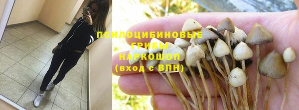 соль курить ск Алзамай