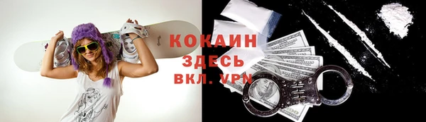 соль курить ск Алзамай
