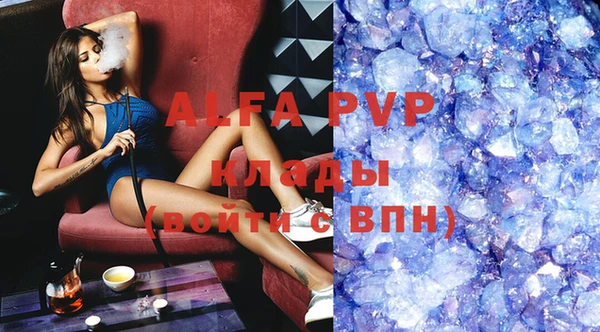стафф Алексин