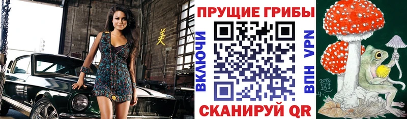 продажа наркотиков  Алдан  Псилоцибиновые грибы прущие грибы 